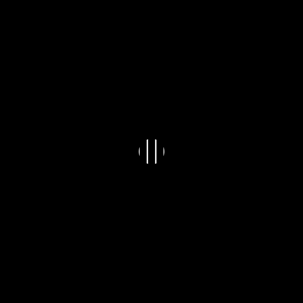 Introanimation